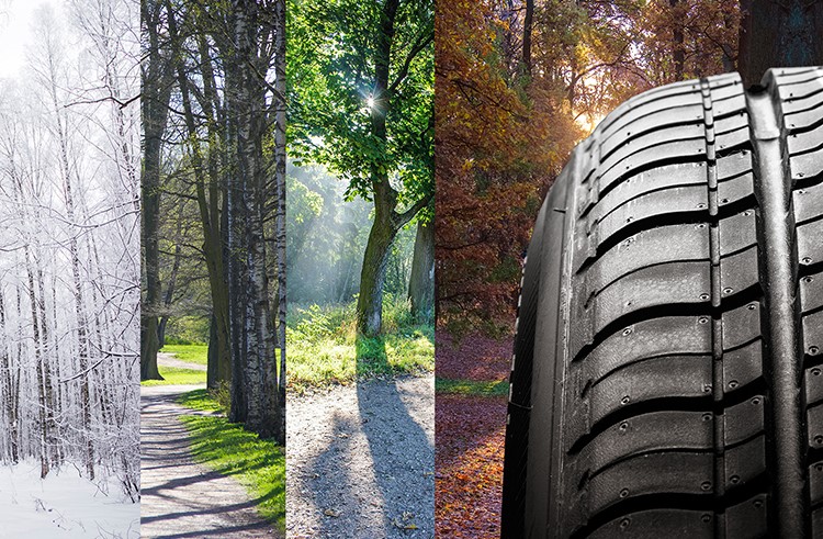 Best All-Season Tires